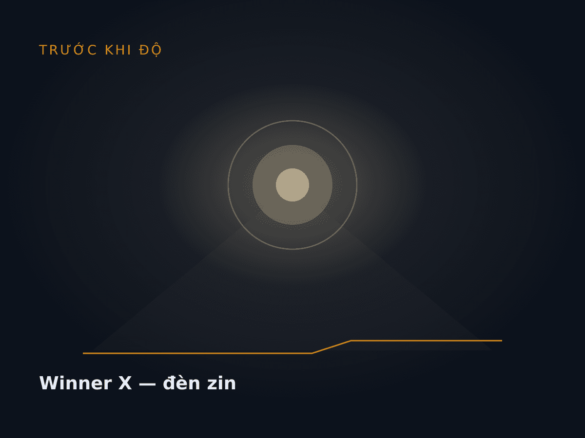 Winner X — đèn zin