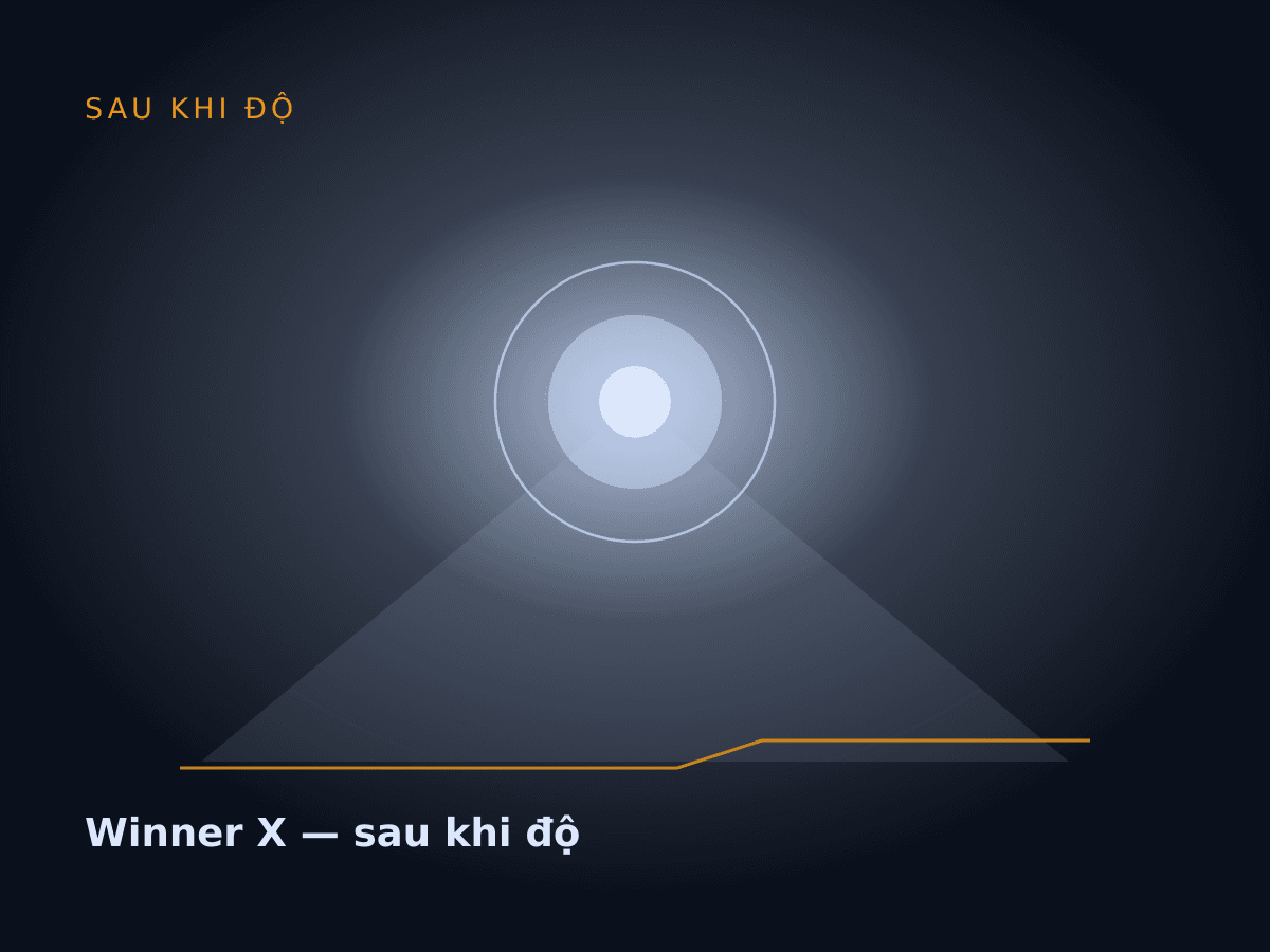 Winner X — sau khi độ