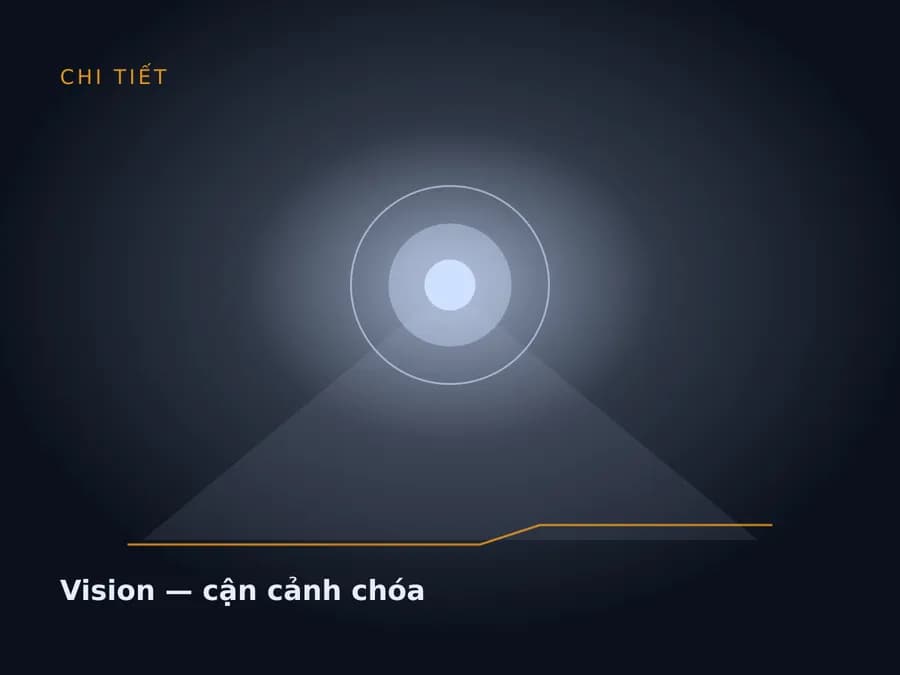 Vision — cận cảnh chóa