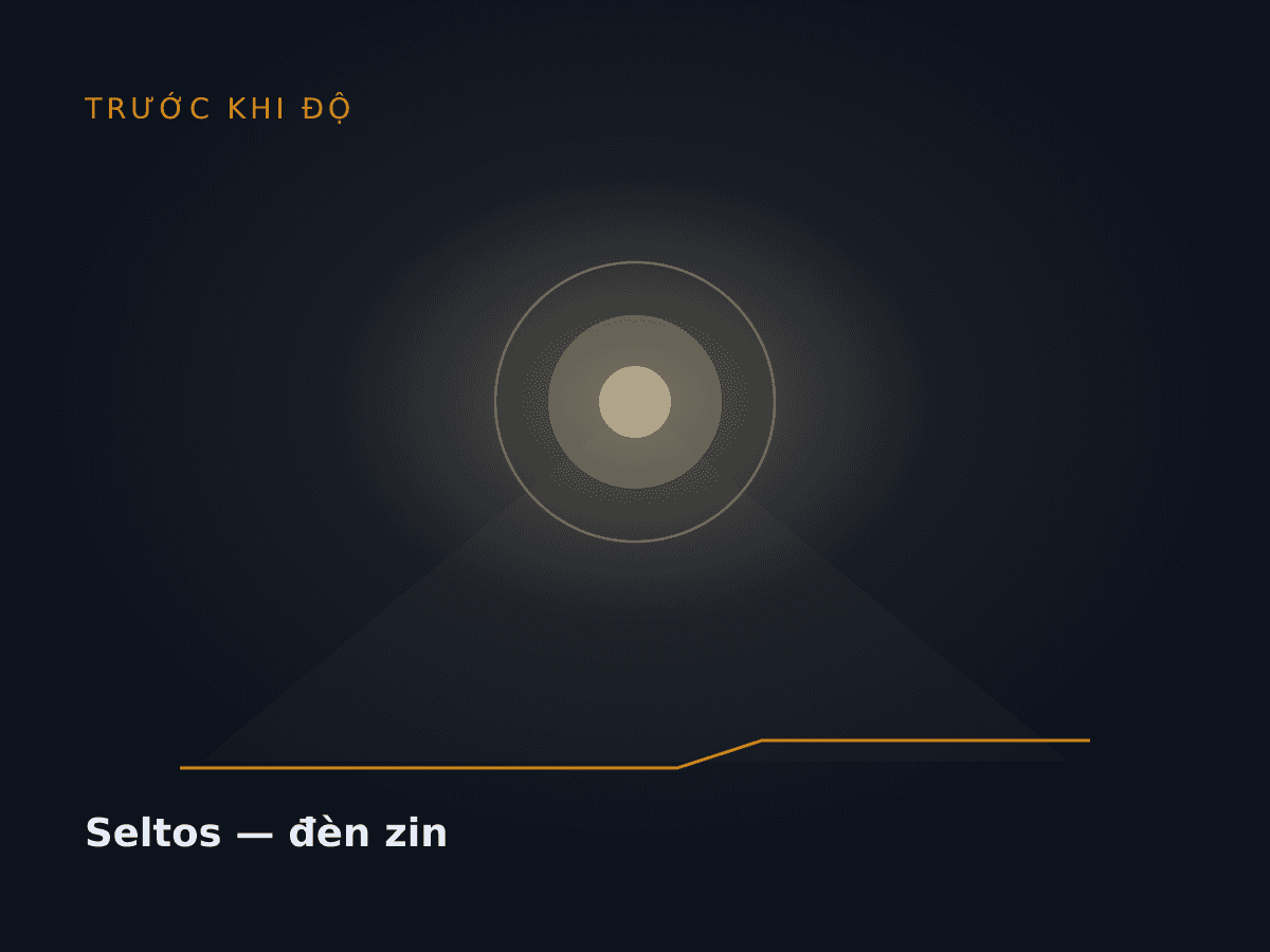 Seltos — đèn zin