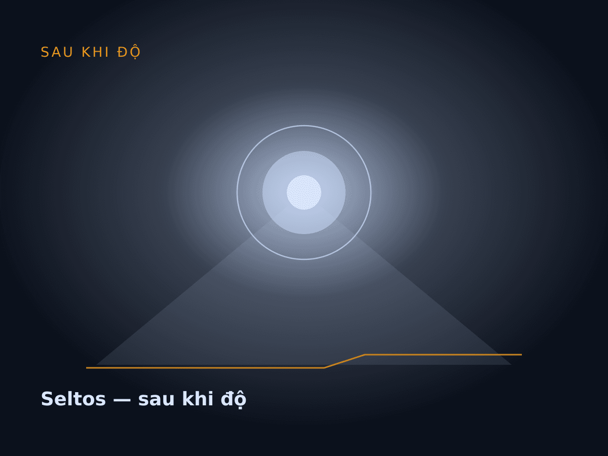 Seltos — sau khi độ