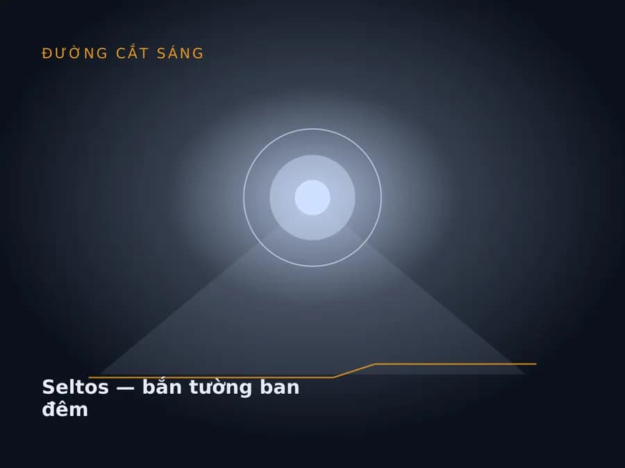 Seltos — bắn tường ban đêm