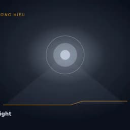 X-Light