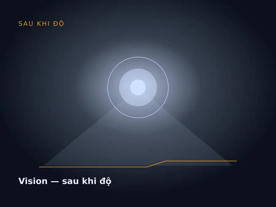Vision — sau khi độ